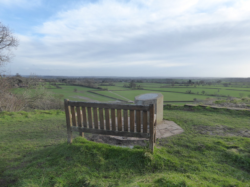 seat with a view by speedwell