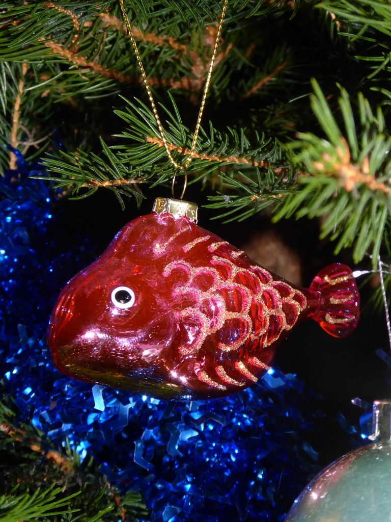 A unusual Christmas tree decoration by speedwell