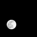 Last Full Moon of 2020 by hjbenson