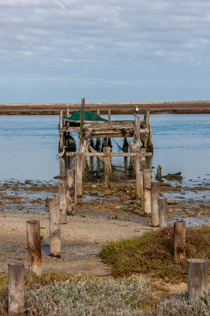 Derelict Jetty again by seacreature