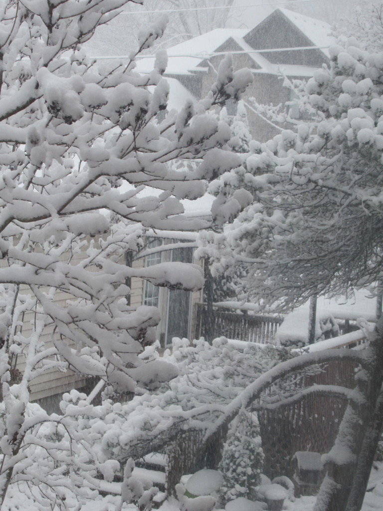 Snow scene by bruni