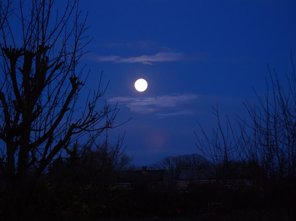 Morning Moon by jon_lip