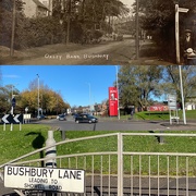 4th Nov 2020 - Oxley Bank Bushbury Wolverhampton 1930's and 2020
