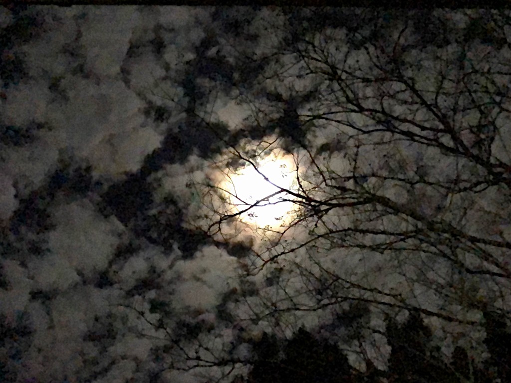 Moon and clouds, 2am by congaree