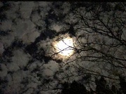 30th Dec 2020 - Moon and clouds, 2am