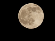 29th Dec 2020 - The Cold Moon of 2020