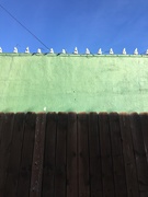 29th Dec 2020 - Fence, wall, sky
