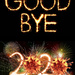 Goodbye 2020 by onewing