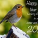THIRTY FIRST DECEMBER ROBIN by markp