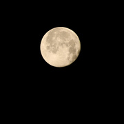 31st Dec 2020 - New Year's Eve Moon