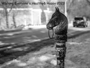 31st Dec 2020 - No Horses Again this Year!