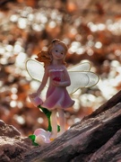 1st Jan 2021 - Fairy in the Woods