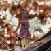 Fairy in the Woods by janeandcharlie