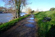 29th Dec 2020 - Thames Path