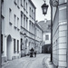 New Year's walk by haskar