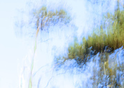 30th Dec 2020 - reach for the skies - ICM attempt