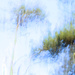 reach for the skies - ICM attempt by callymazoo