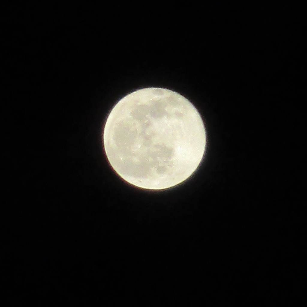 Last full moon of the year by filsie65