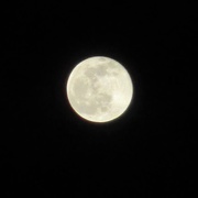 30th Dec 2020 - Last full moon of the year