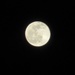 Last full moon of the year by filsie65
