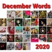 December Words 2020 by serendypyty