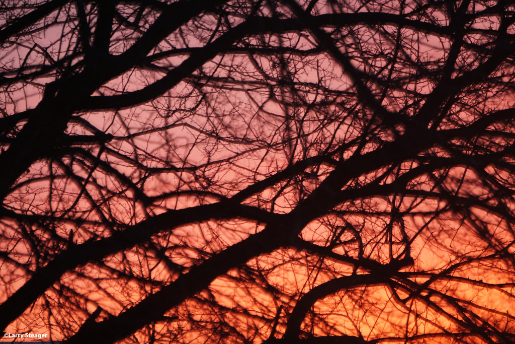 Frozen sunset by larrysphotos