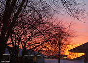 1st Jan 2021 - Sunset out my kitchen window.