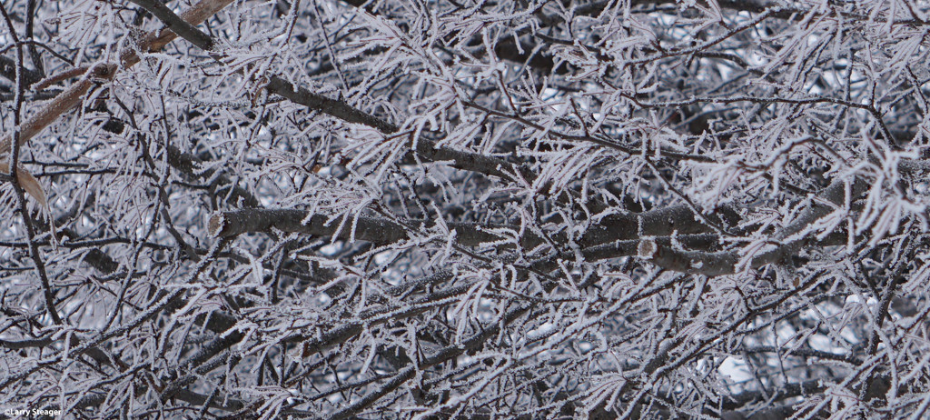 Fog forming ice chrystals1. by larrysphotos