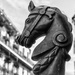 Horse Hitch in New Orleans by jyokota