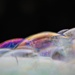 Bubbles  by sandradavies