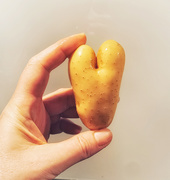 2nd Jan 2021 - The potato heart. 