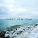 Happy New Year by edorreandresen