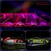 Silverstone Experience (Laser Display) 2 by carolmw