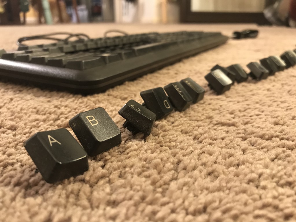 Old keyboard  by gratitudeyear