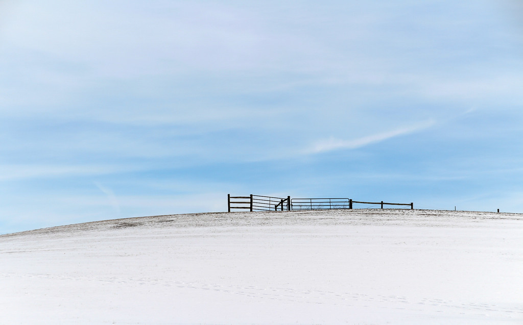 Fence on a hill by mittens
