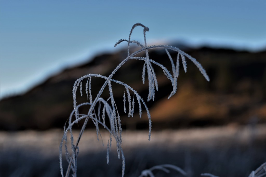 frost by christophercox
