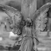 Angel by 365nick