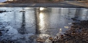 1st Jan 2021 - Happy New Year, Oakland Avenue Puddle!