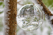 2nd Jan 2021 - Look at winter ... through my crystal ball