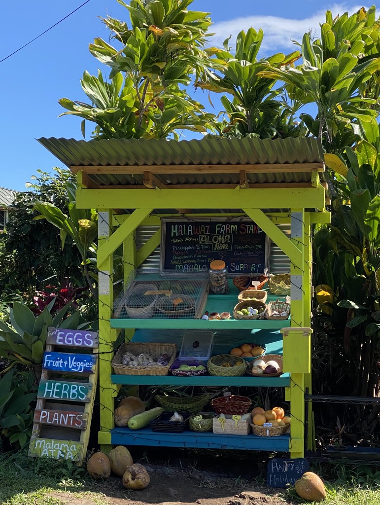 Hawaiian Fruit & Vegetable Stand by clay88