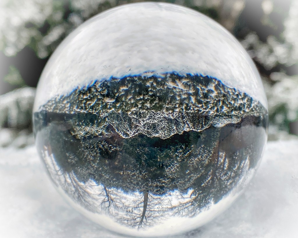 Snow Globe by njmom3