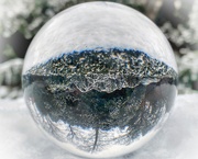 3rd Jan 2021 - Snow Globe