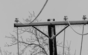 3rd Jan 2021 - telephone wires