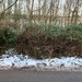 Road, snow, hedge, trees and sky by 365nick