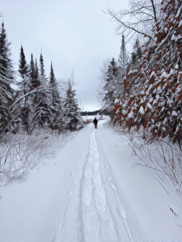 Snowshoe Trail———Hubby up Ahead by radiogirl