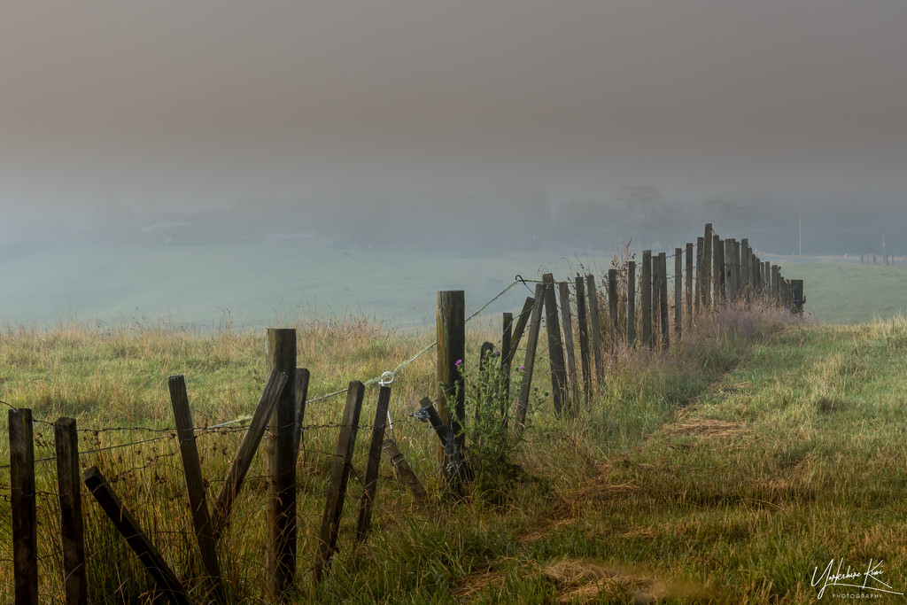 Fence in the fog by yorkshirekiwi