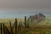 4th Jan 2021 - Fence in the fog