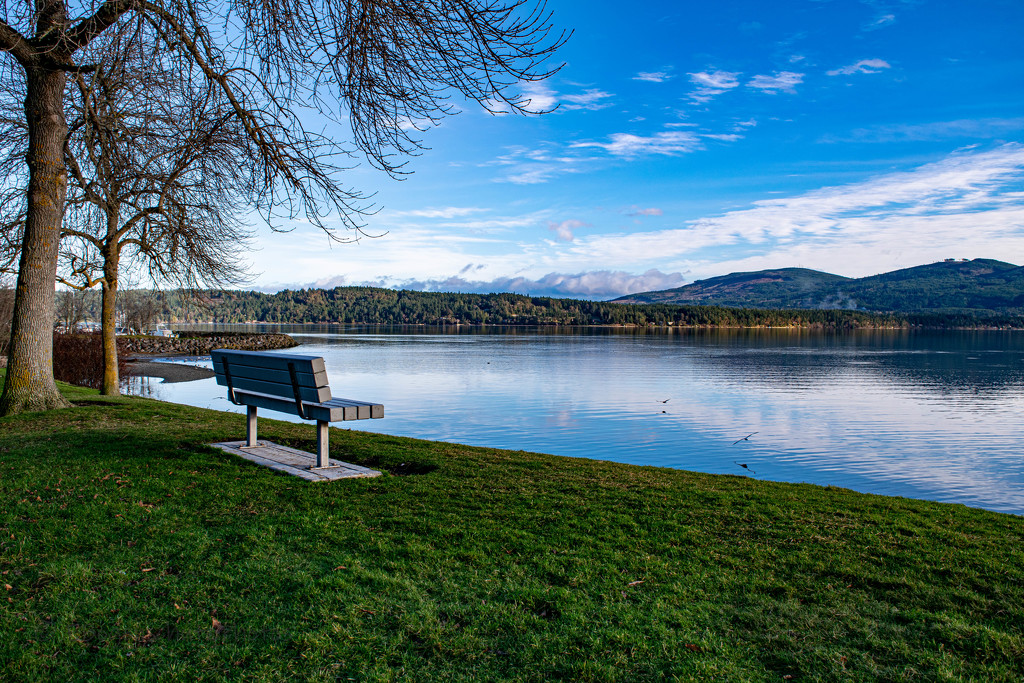 Park Bench  by theredcamera