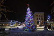 15th Dec 2020 - Downtown tree
