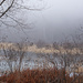 Lower Stump Lake, Fog by lsquared